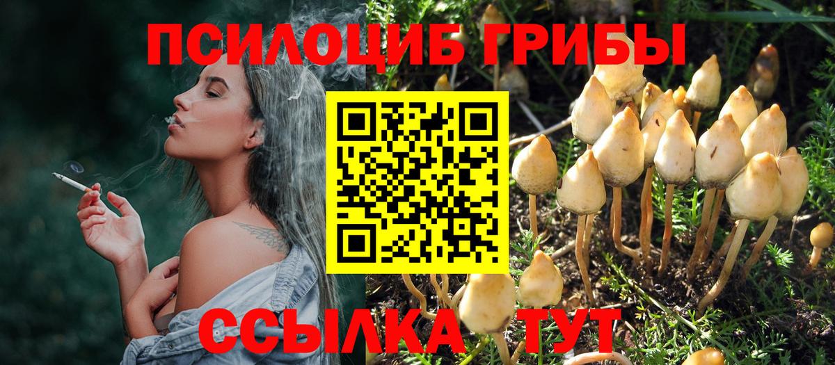 Псилоцибиновые грибы мухоморы Ивантеевка